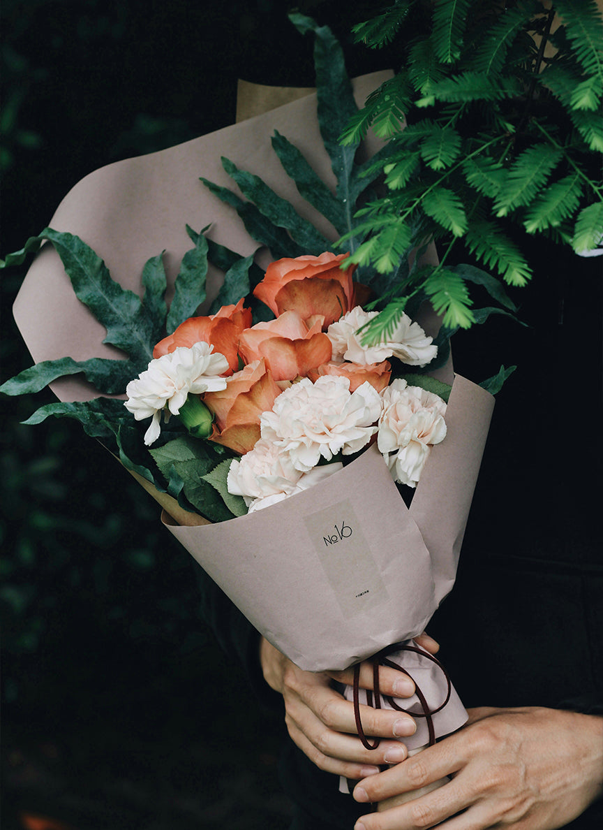 Before - Large Dust 4