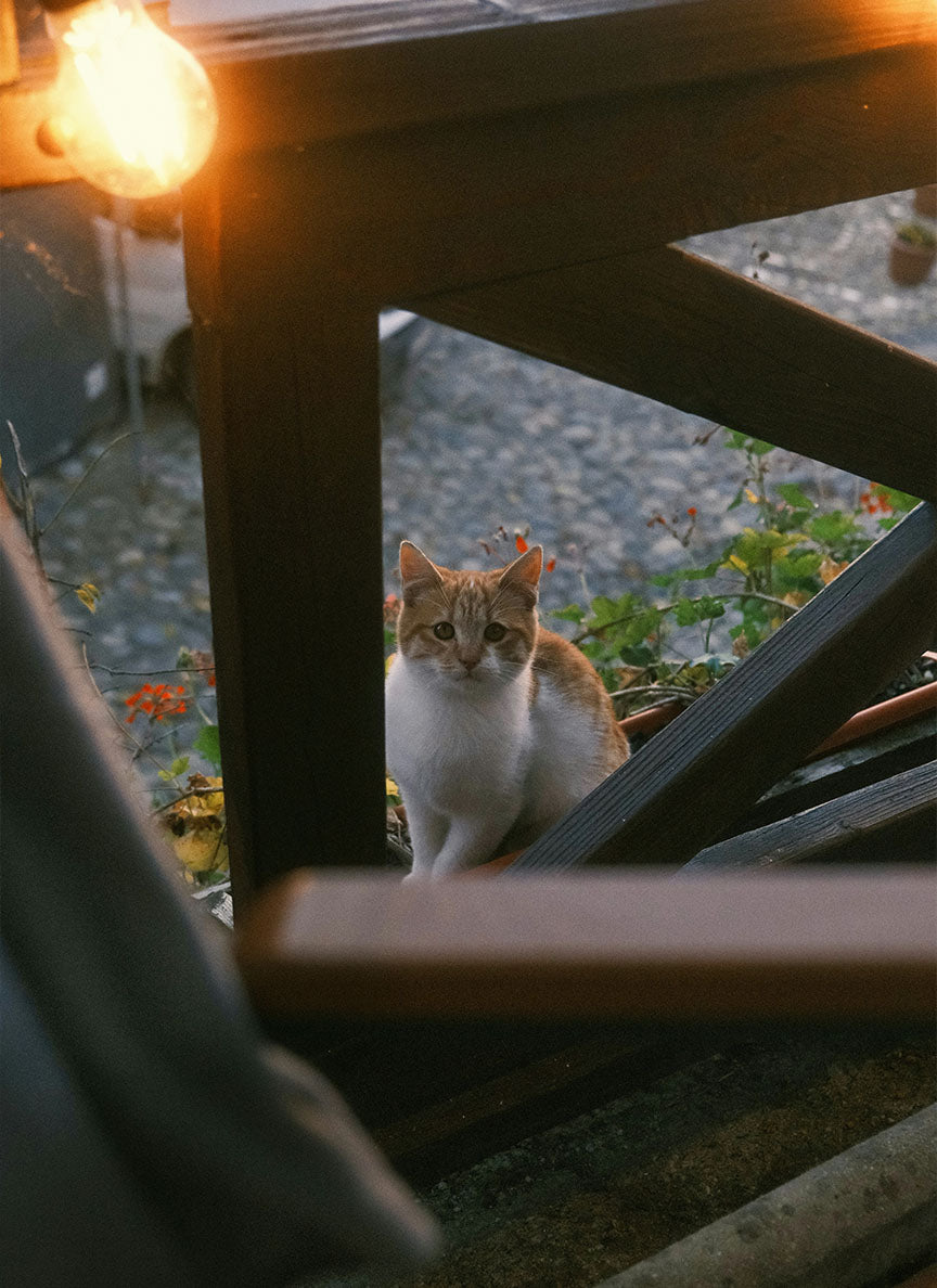 Before - Fine Dust 3