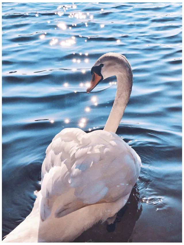 Photo by Emily Sevenoaks and edited with Film Preset Amethyst + Grain 1 in #Afterlight