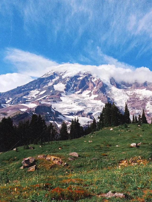 Beautiful Mt. Rainier, captured by @angeldorr and edited with filters Harbor and NZ, Color Overlay P1 in blend mode Overlay, Grain 5, and Dust 5 in Afterlight 🏔 ⁣