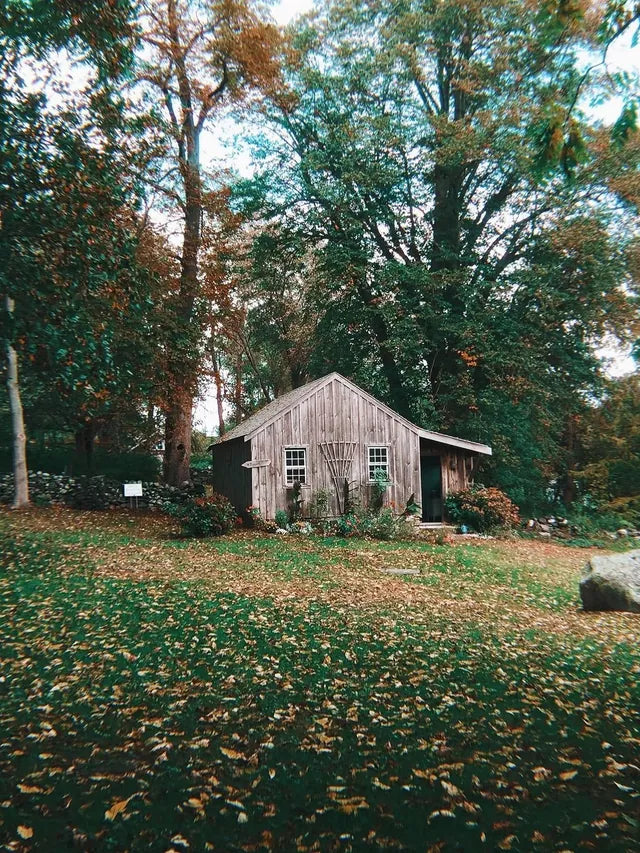 Create your own custom Fusion filters in Afterlight to keep consistency in your photos!⁣ All of these photos were edited using a custom Fusion filter made with filters Titan & Tulum, and a hint of Chroma. Try it for yourself now!⁣ Original 
