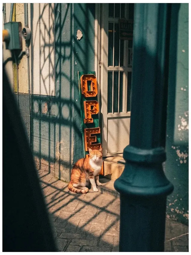 Love this set from @instaefren! That analog lived-in feel is exactly what Afterlight’s built for 🎞️ Tag us in your edits and yours could be next