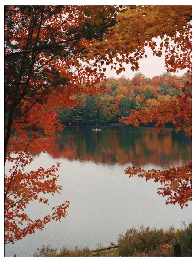 Photo by Zhangjiang Chen and edited with Portra + Vista + Grain 1 + Dust 3 in #Afterlight