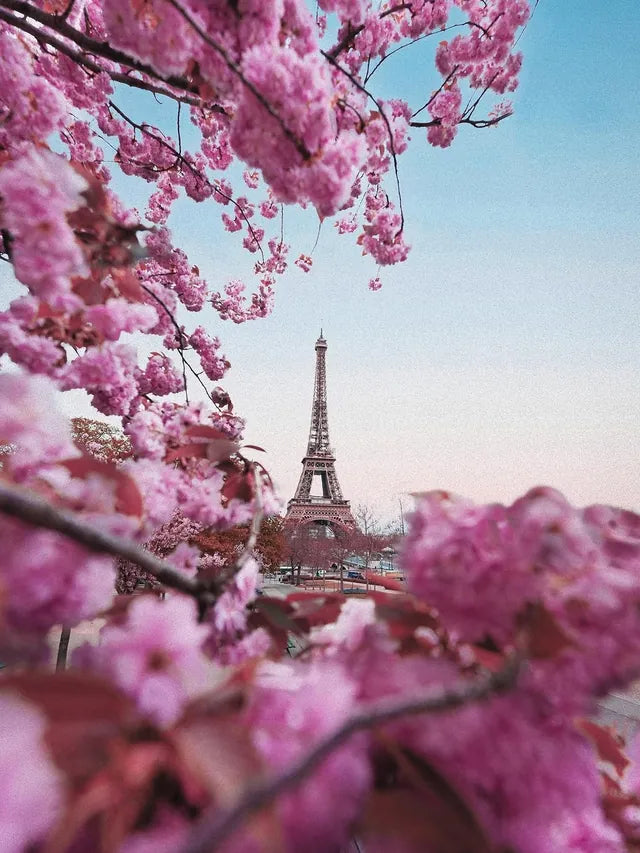 One photo, three ways with Afterlight filters, which edit do you like best?⁣ ⁣ 1 - Mars ⁣ Original photo by @daniel.dalea 2 - Sacred 3 - Tulum