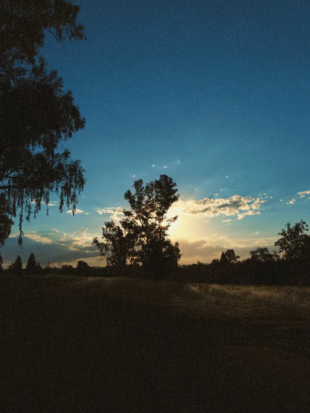 A sunrise walk with Afterlight Camera, using the new 35mm preset + KE100 color profile