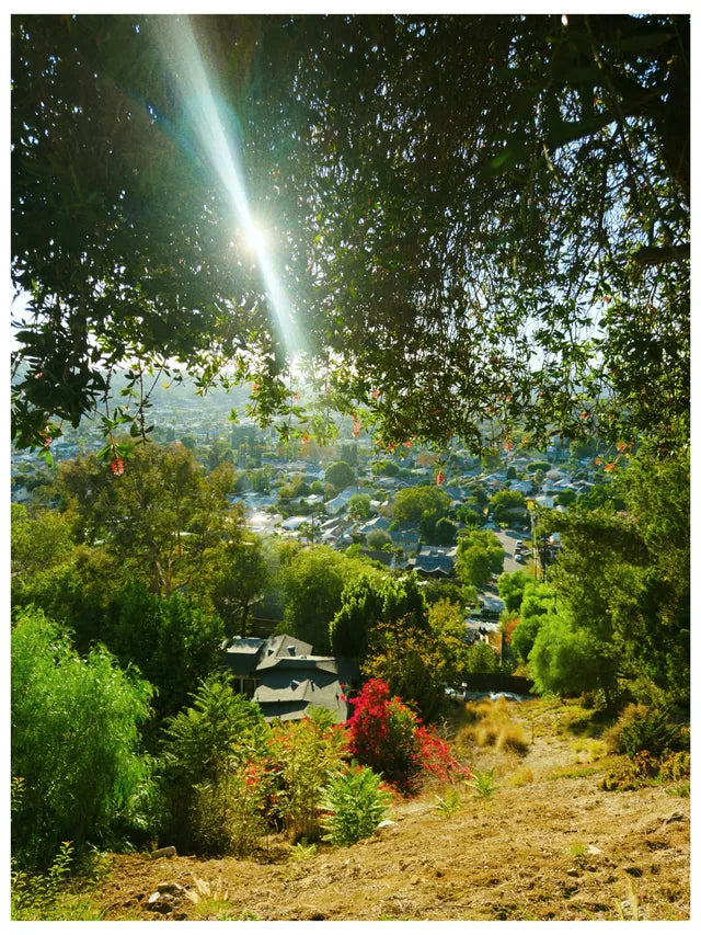 A golden hour walk in Los Angeles 🌞 Shot on Afterlight Cam using 35mm + FS400, framed with a white border